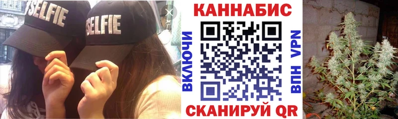 Конопля гибрид Чебаркуль